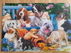 poskladané obrázky z Puzzle 1000 ks - 5