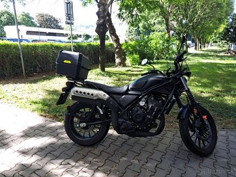 Predam HONDA CL 500 Scrambler - 5