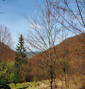 Predaj chata v srdci Kysúc neďaleko Žiliny - 5