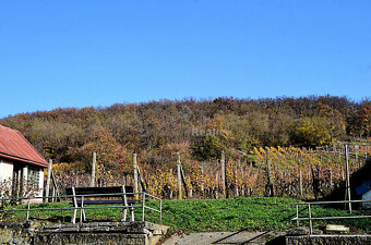 Záhradný domček s vinohradom - 5