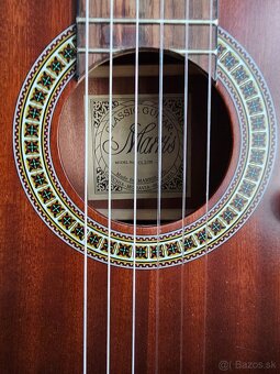 Gitara spanielka Marris - 5