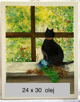 Nezbedný kocúr - 5