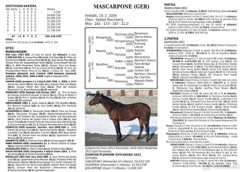 Perspektívna kobyla ST do chovu/športu - 5