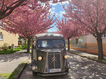 RETRO FOODTRUCK - CITROEN HY - 5