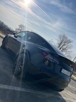 Predam Tesla model Y performance - 5