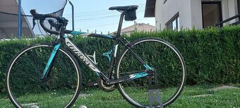 Wilier trestina model Luna - 5