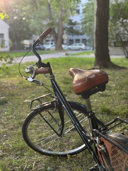 Mestský retro bicykel - 5