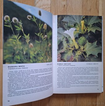 Prirucny atlas liecivych rastlin - 5