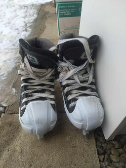 Predám lapačku a korčule - 5