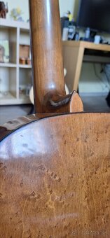 Schneider guitar akustika - 5