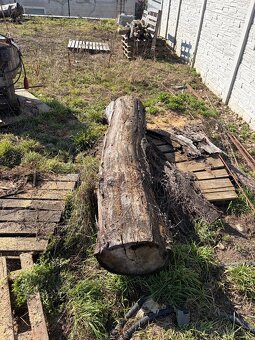 Čerešnove drevo - 5