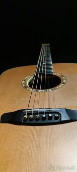 Dowina Cabernet + L.R. Baggs Anthem - 5