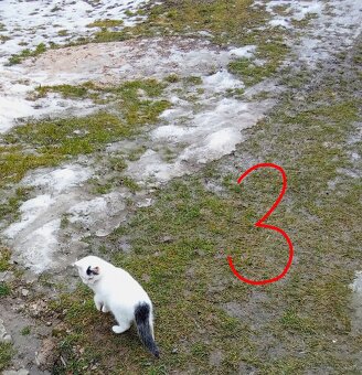 Ajándékozuk - Darujeme - 5