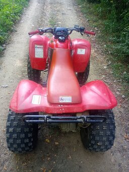 Honda TRX 250ex - 5