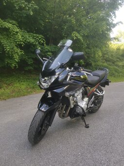 Suzuki Bandit GSF 650s - 5