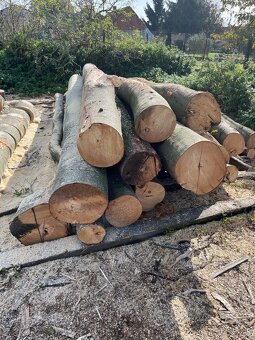 Palivové drevo - 5