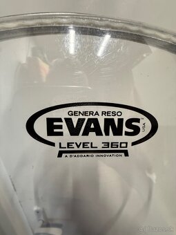EVANS 14”genera reso - 5