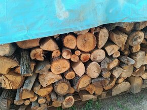 Predaj a dovoz palivového dreva - 5