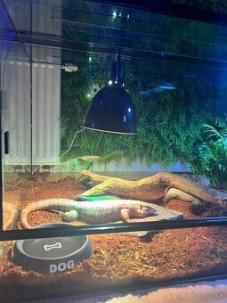 Terarium 160x60x60cm - 5
