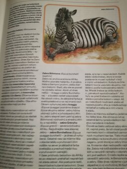 Mix zaujímavých  kníh_znizena cena - 5