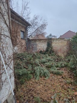 Darujem drevo a konáre - 5