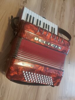 Harmonika Delicia Junior 4 - 5