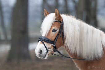 Kllisna hafling, Pony B - 5