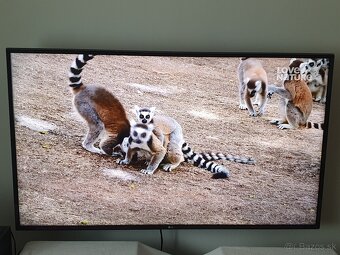 LG 55 ultra HD 4K, WiFi, Youtub, Netflix .. - 5