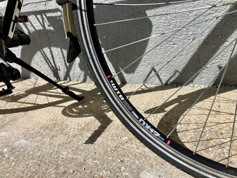 CTM Targa 28” - 5