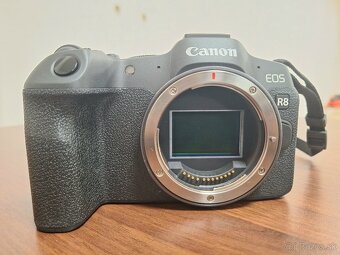 Canon EOS R8 + Canon RF 24-50mm - 5