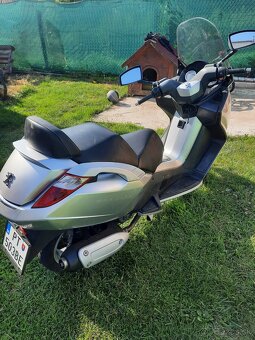 Peugeot satelis 250 - 5