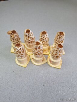 Včelie matky - 5
