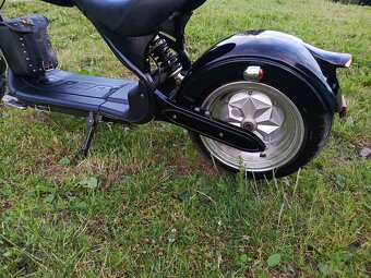 Elektro Chopper - 5