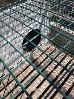 Klietka pre zajaca - 5