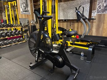 Rogue Echo bike - 5