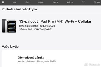 Apple iPad Pro 13" M4 256GB WiFi + Cellular 5G (citaj) - 5