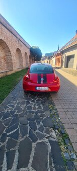 Vw beetle - 5