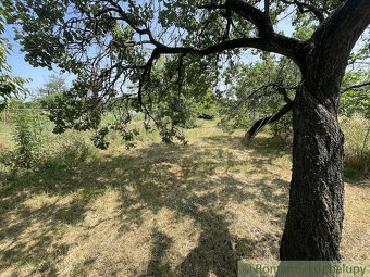 Skvelá investičná príležitosť - 30 árový stavebný pozemok - 5