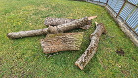 Orechové drevo - guľatina a čerešňa zdarma - 5