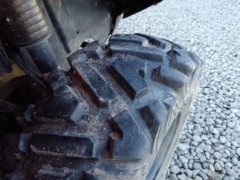 Kawasaki bruteforce 650 2006 - 5