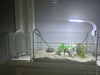 Akvária plus príslušenstvo - 5