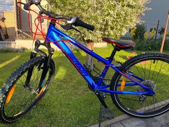 Bicykel Merida Matts J.24 modrý - 5