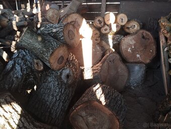 Orechové drevo-kmene palivové, kvalitné,už väčšie množstvo - 5