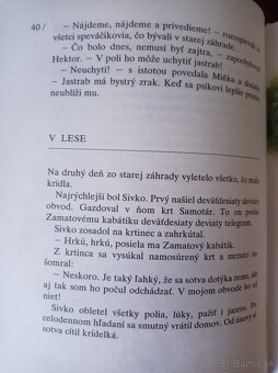 Hľadajte Šamiska (Anna Minichová) - 5