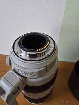 Canon 100-400mm f/4.5-5.6 L IS USM II - 5