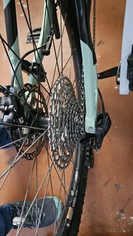 CTM AREON Expert 2023 L - 5