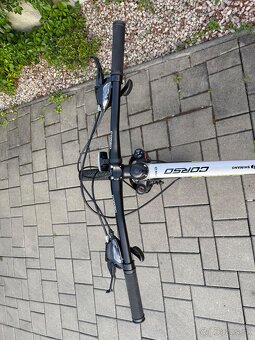 KORD CORSO 29" - 5