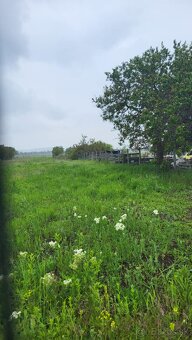 Na predaj investičný pozemok Štúrovo - 5