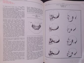 Anatomie pro výtvarníky - 5