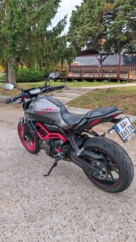 Yamaha MT 07 Moto Cage 2016 - 5